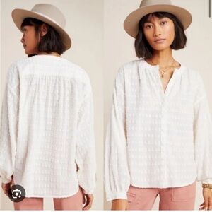 Pilcro and The Letterpress Tavi Blouse